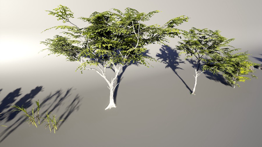 热带海岛毛里求斯椰子香蕉柚子树岩石3d模型ue设计素材 Unreal Engine – 3D-Scanned, Photo-Realistic Mauritius Asset Pack 样机素材 第20张-素材湾丨精选海外优质设计素材资源 热带海岛毛里求斯椰子香蕉柚子树岩石3d模型ue设计素材 Unreal Engine – 3D-Scanned, Photo-Realistic Mauritius Asset Pack 样机素材 sucaiwan.com
