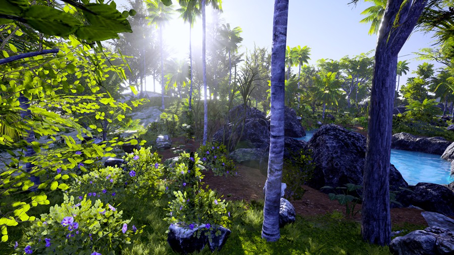 热带海岛毛里求斯椰子香蕉柚子树岩石3d模型ue设计素材 Unreal Engine – 3D-Scanned, Photo-Realistic Mauritius Asset Pack 样机素材 第22张-素材湾丨精选海外优质设计素材资源 热带海岛毛里求斯椰子香蕉柚子树岩石3d模型ue设计素材 Unreal Engine – 3D-Scanned, Photo-Realistic Mauritius Asset Pack 样机素材 sucaiwan.com