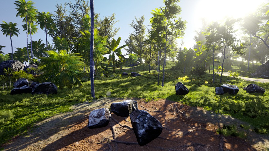 热带海岛毛里求斯椰子香蕉柚子树岩石3d模型ue设计素材 Unreal Engine – 3D-Scanned, Photo-Realistic Mauritius Asset Pack 样机素材 第24张-素材湾丨精选海外优质设计素材资源 热带海岛毛里求斯椰子香蕉柚子树岩石3d模型ue设计素材 Unreal Engine – 3D-Scanned, Photo-Realistic Mauritius Asset Pack 样机素材 sucaiwan.com