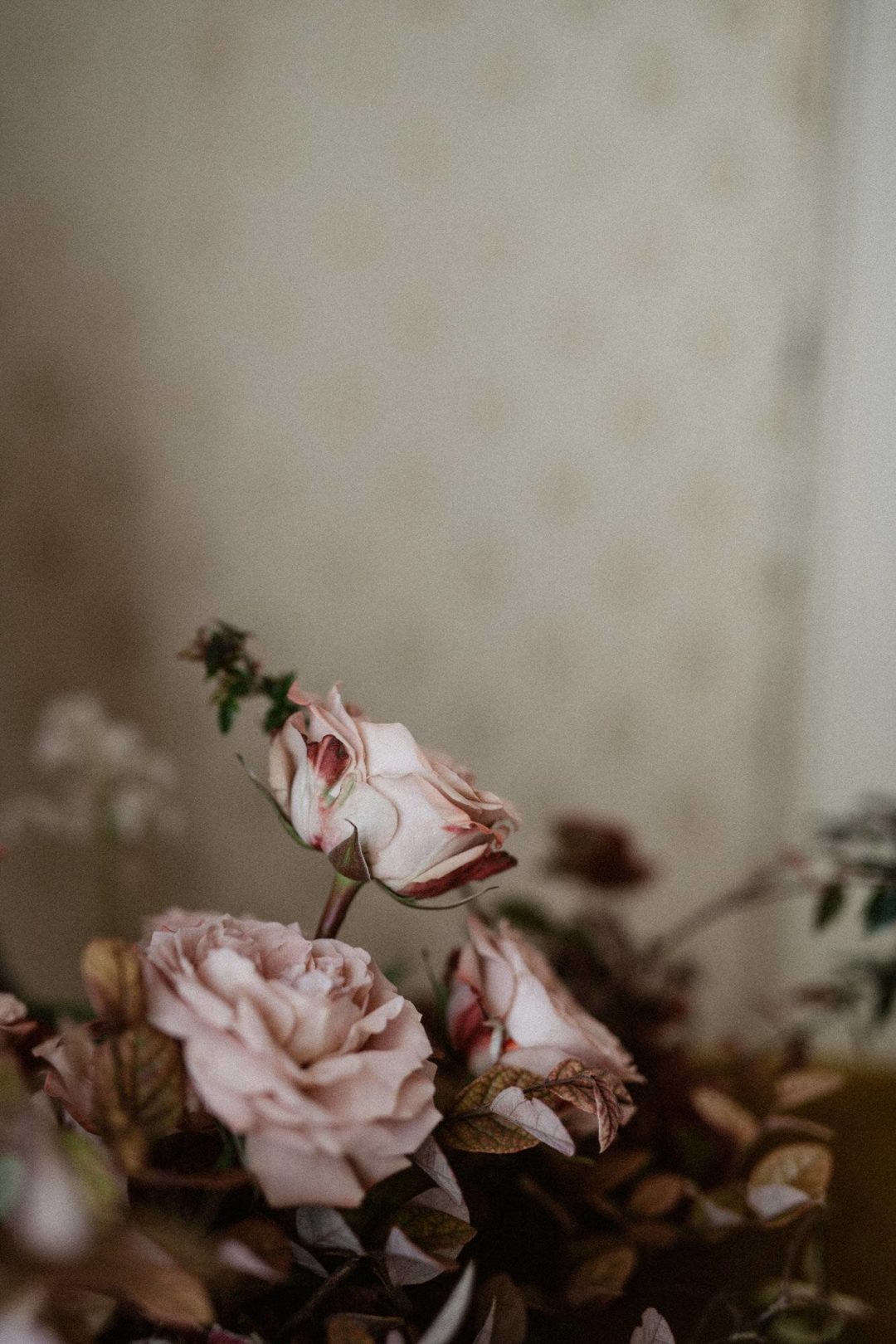 真实情绪化柔和暖色橙色黑白色调婚礼照片调色Lightroom预设包 Legacy Presets – Francesca Angrisano – Poetico 插件预设 第11张-素材湾丨精选海外优质设计素材资源 真实情绪化柔和暖色橙色黑白色调婚礼照片调色Lightroom预设包 Legacy Presets – Francesca Angrisano – Poetico 插件预设 sucaiwan.com