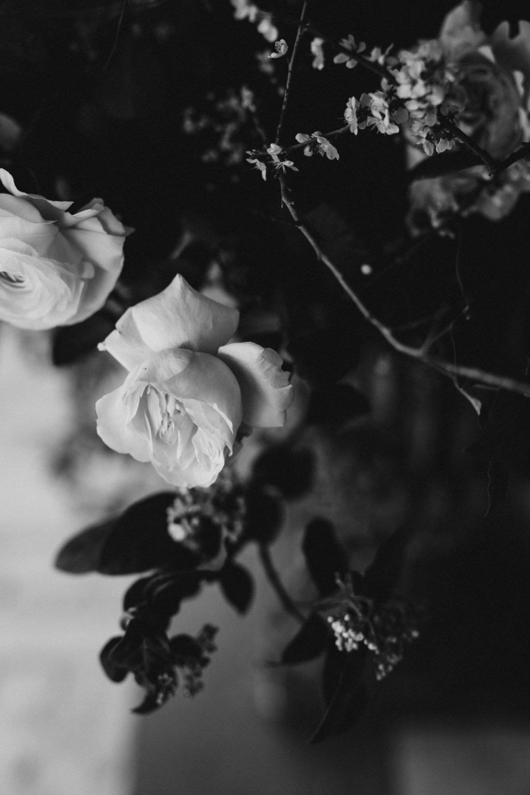 真实情绪化柔和暖色橙色黑白色调婚礼照片调色Lightroom预设包 Legacy Presets – Francesca Angrisano – Poetico 插件预设 第33张-素材湾丨精选海外优质设计素材资源 真实情绪化柔和暖色橙色黑白色调婚礼照片调色Lightroom预设包 Legacy Presets – Francesca Angrisano – Poetico 插件预设 sucaiwan.com