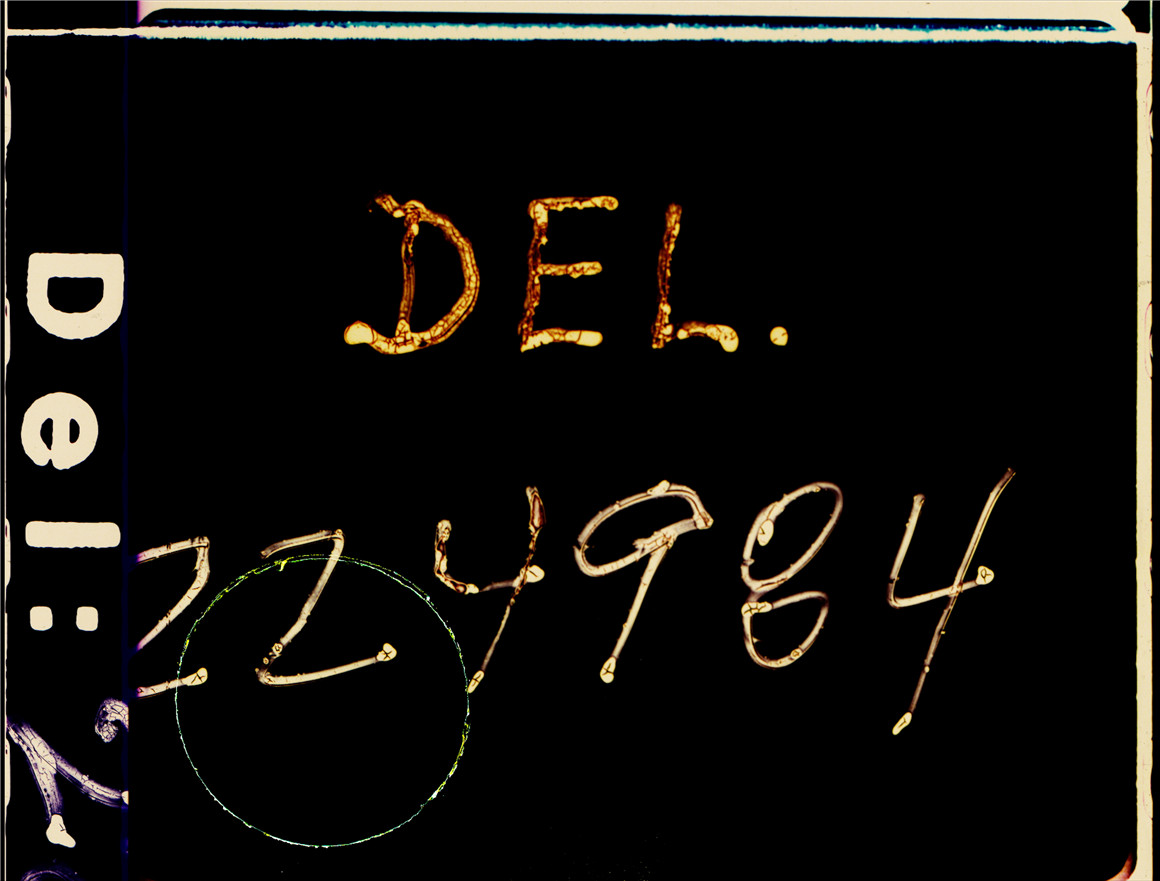 Ezra Cohen 100多个复古胶片打孔闪烁漏光数字字母砂砾质感电影过渡纹理叠加视频素材 Gritty Film Transitions 影视音频 第3张-素材湾丨精选海外优质设计素材资源 Ezra Cohen 100多个复古胶片打孔闪烁漏光数字字母砂砾质感电影过渡纹理叠加视频素材 Gritty Film Transitions 影视音频 sucaiwan.com