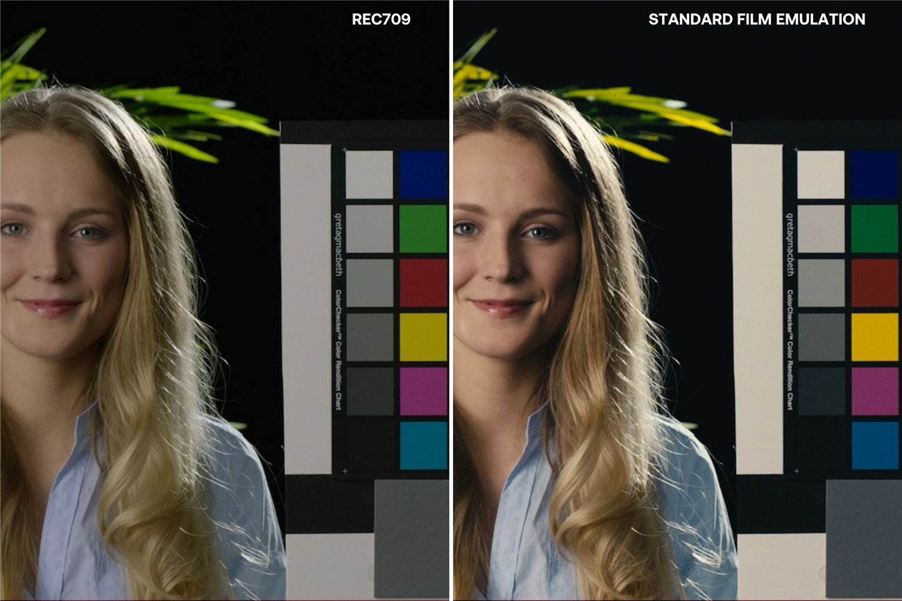 AE/PR插件:真实电影胶片模拟调色工具 Colourlab.ai Look Designer v3.1.1 CE FOR WIN , 第3张-素材湾丨精选海外优质设计素材资源 AE/PR插件:真实电影胶片模拟调色工具 Colourlab.ai Look Designer v3.1.1 CE FOR WIN , sucaiwan.com