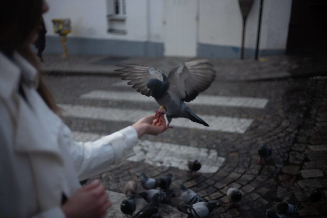 复古优雅黑白色单色城市街拍肖像照片调色Lightroom预设 André Josselin – MAISON NOIR PRESET COLLECTION 插件预设 第21张-素材湾丨精选海外优质设计素材资源 复古优雅黑白色单色城市街拍肖像照片调色Lightroom预设 André Josselin – MAISON NOIR PRESET COLLECTION 插件预设 sucaiwan.com