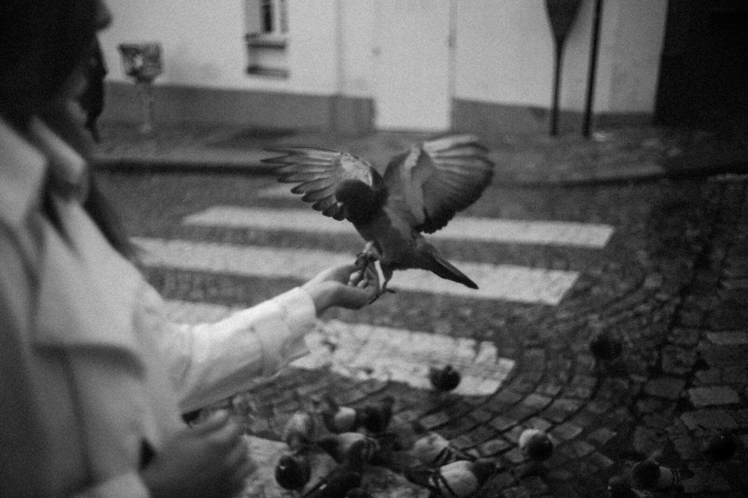 复古优雅黑白色单色城市街拍肖像照片调色Lightroom预设 André Josselin – MAISON NOIR PRESET COLLECTION 插件预设 第20张-素材湾丨精选海外优质设计素材资源 复古优雅黑白色单色城市街拍肖像照片调色Lightroom预设 André Josselin – MAISON NOIR PRESET COLLECTION 插件预设 sucaiwan.com