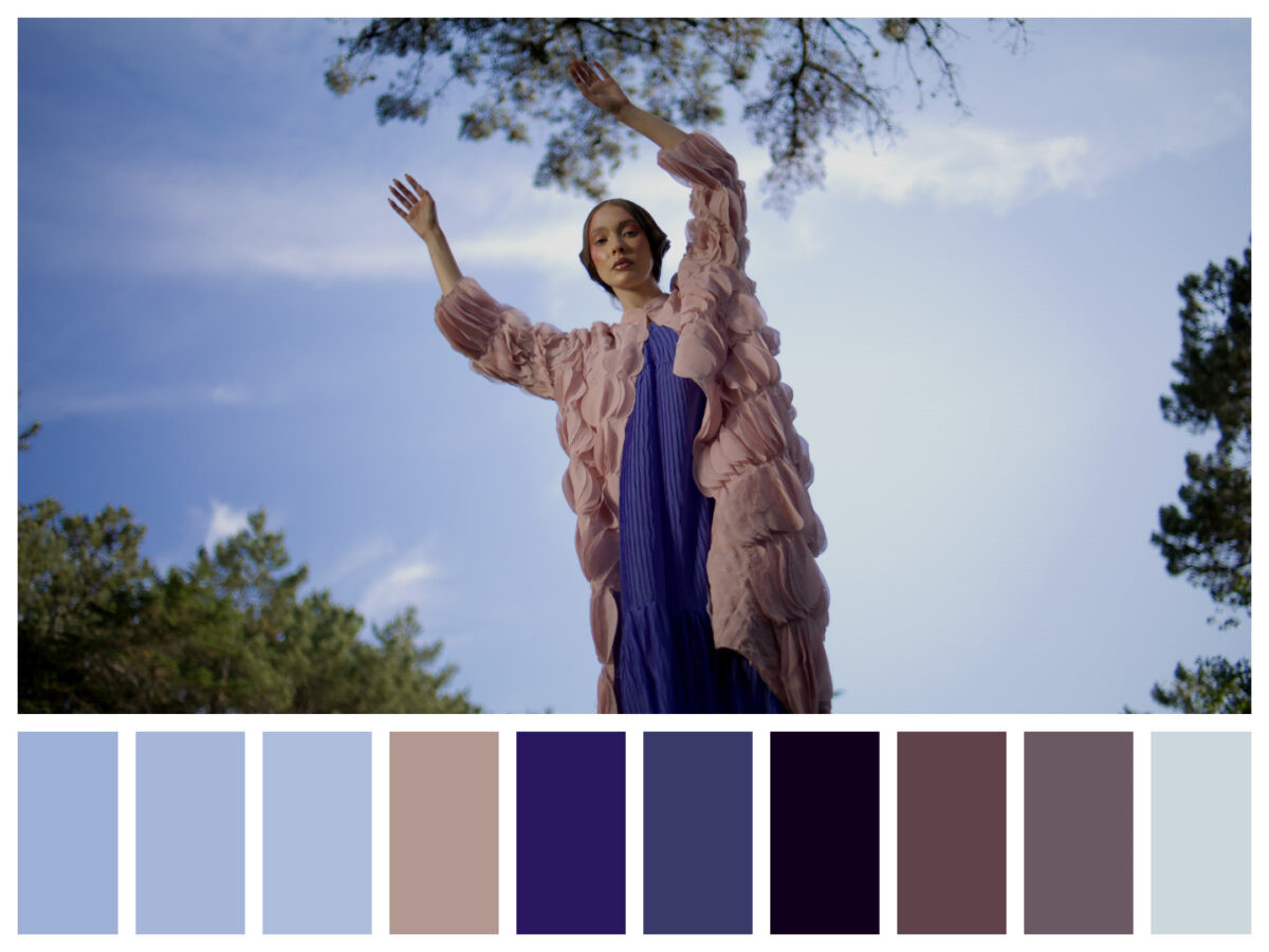 MONONODES - COLOR PALETTE DCTL 达芬奇电影剧照画面色彩提取调色板DCTL插件 插件预设 第4张-素材湾丨精选海外优质设计素材资源 MONONODES - COLOR PALETTE DCTL 达芬奇电影剧照画面色彩提取调色板DCTL插件 插件预设 sucaiwan.com