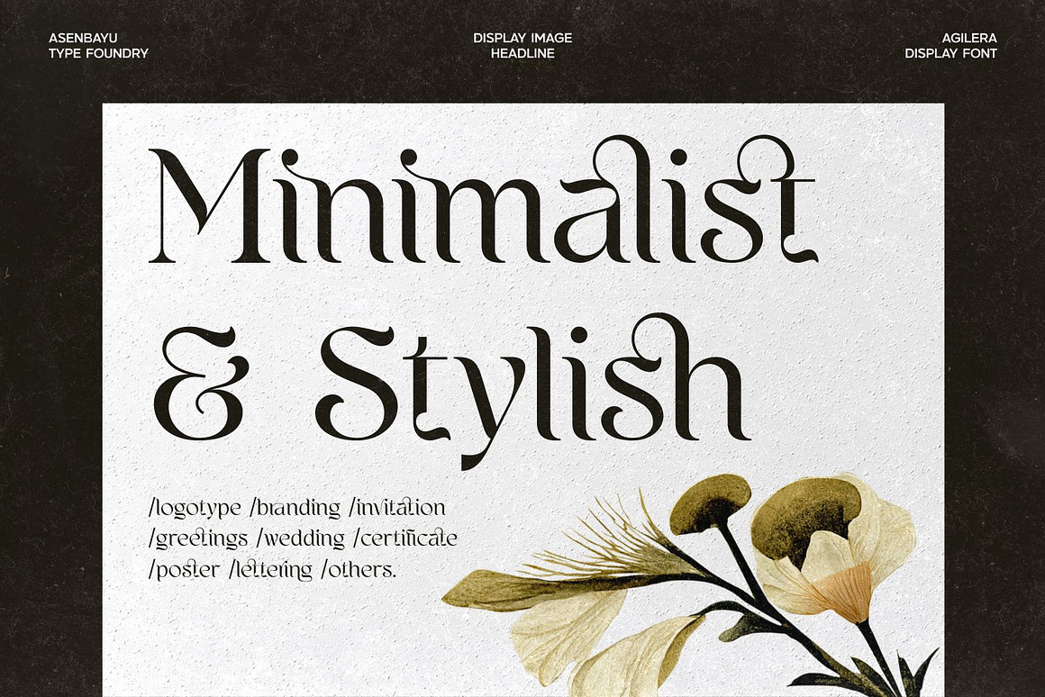 优雅新艺术风格包装标签海报品牌logo设计连字衬线英文字体下载 Agilera Font 设计素材 sucaiwan.com