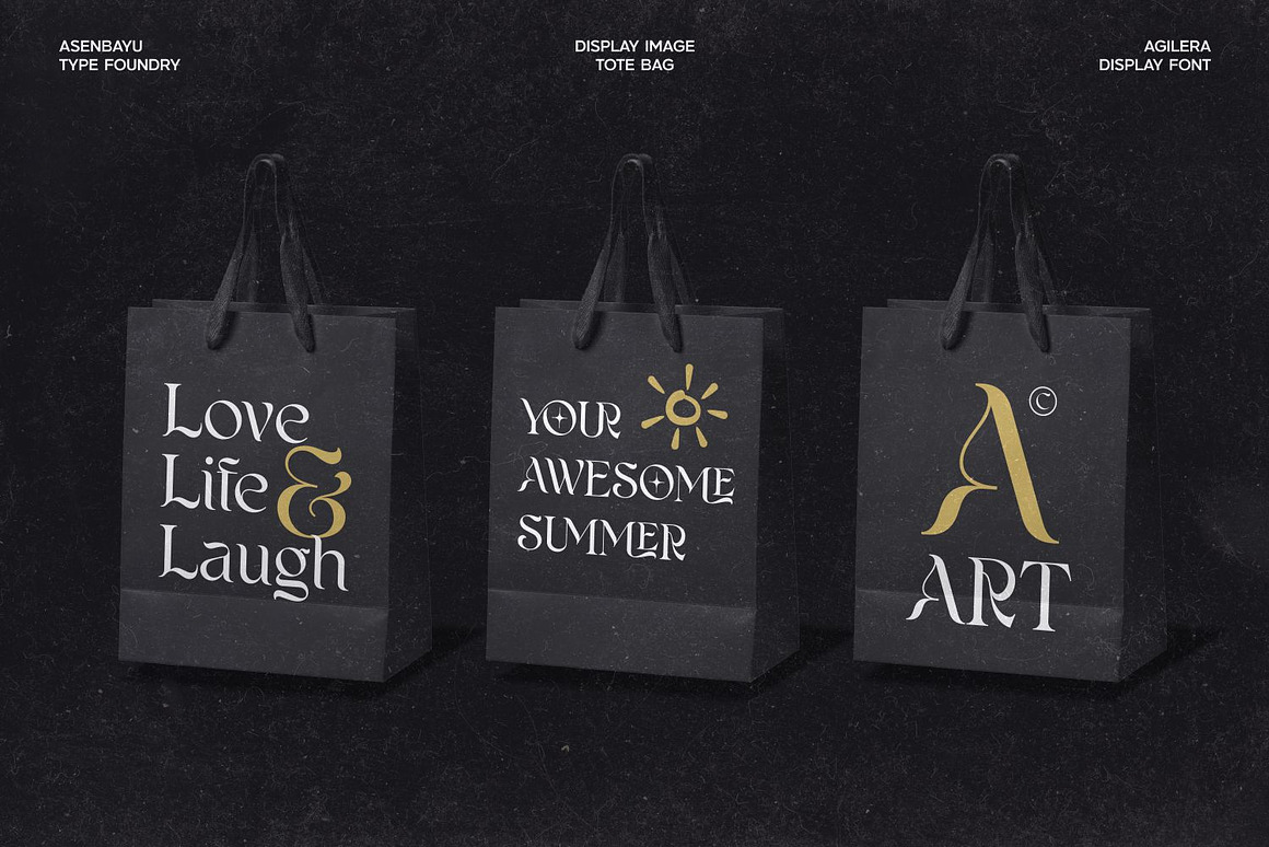 优雅新艺术风格包装标签海报品牌logo设计连字衬线英文字体下载 Agilera Font 设计素材 sucaiwan.com