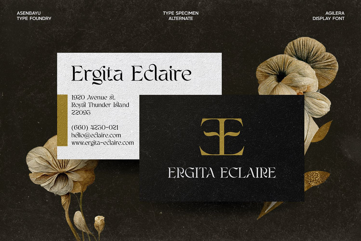 优雅新艺术风格包装标签海报品牌logo设计连字衬线英文字体下载 Agilera Font 设计素材 sucaiwan.com