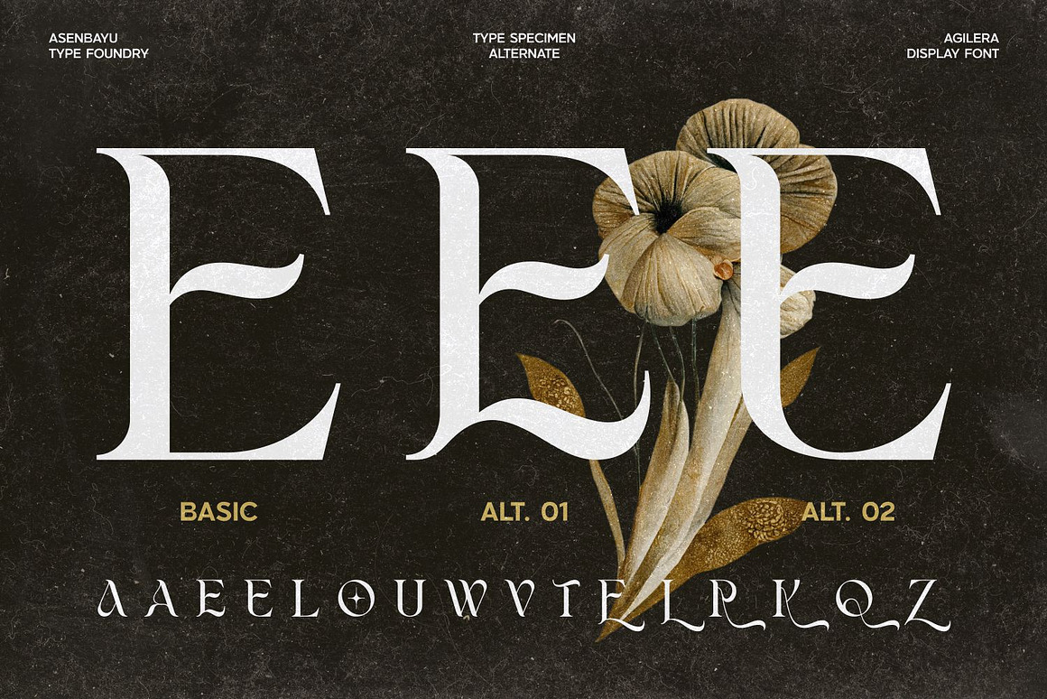 优雅新艺术风格包装标签海报品牌logo设计连字衬线英文字体下载 Agilera Font 设计素材 sucaiwan.com