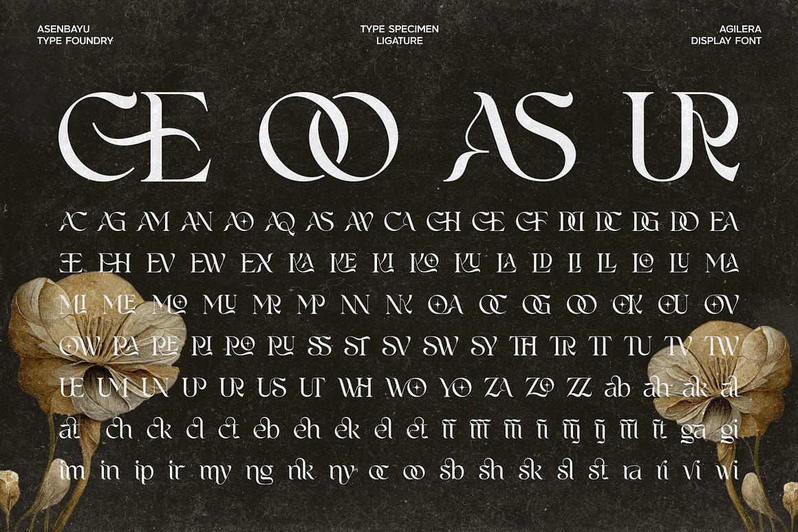 优雅新艺术风格包装标签海报品牌logo设计连字衬线英文字体下载 Agilera Font 设计素材 sucaiwan.com