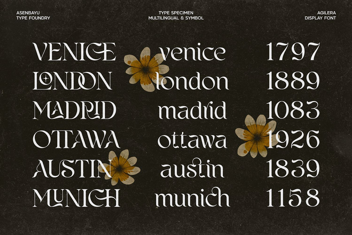 优雅新艺术风格包装标签海报品牌logo设计连字衬线英文字体下载 Agilera Font 设计素材 sucaiwan.com