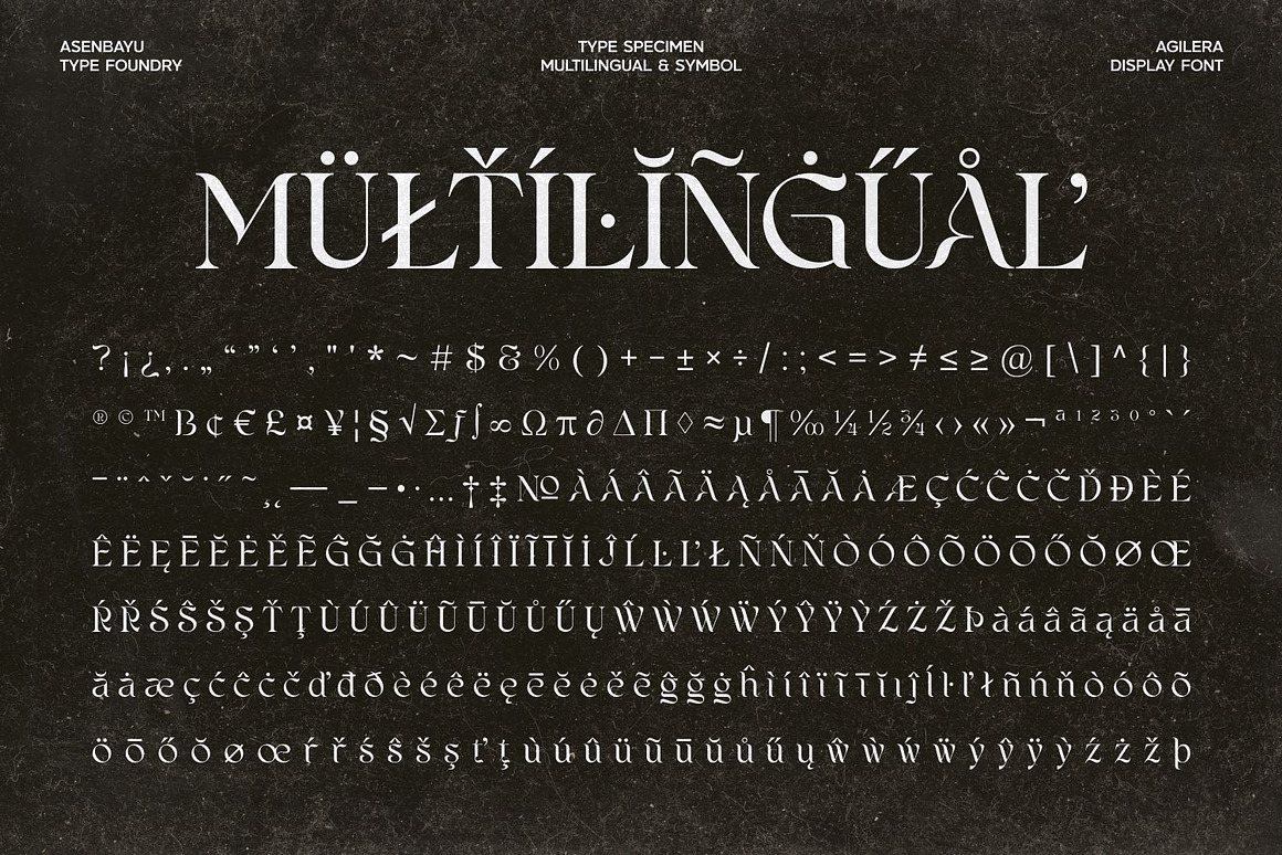 优雅新艺术风格包装标签海报品牌logo设计连字衬线英文字体下载 Agilera Font 设计素材 sucaiwan.com