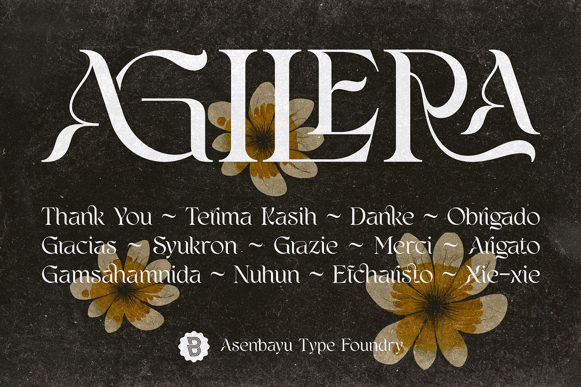 优雅新艺术风格包装标签海报品牌logo设计连字衬线英文字体下载 Agilera Font 设计素材 sucaiwan.com