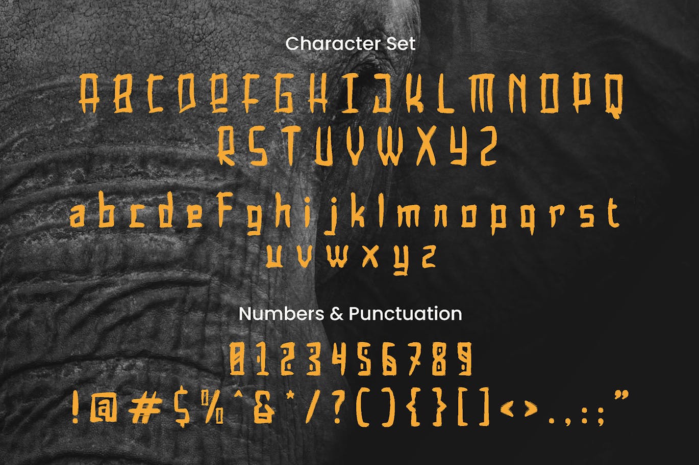 传统民族异国情调品牌海报邀请函设计装饰英文字体安装包 Wirokencono – Ethnic Brush Font 设计素材 第6张-素材湾丨精选海外优质设计素材资源 传统民族异国情调品牌海报邀请函设计装饰英文字体安装包 Wirokencono – Ethnic Brush Font 设计素材 sucaiwan.com