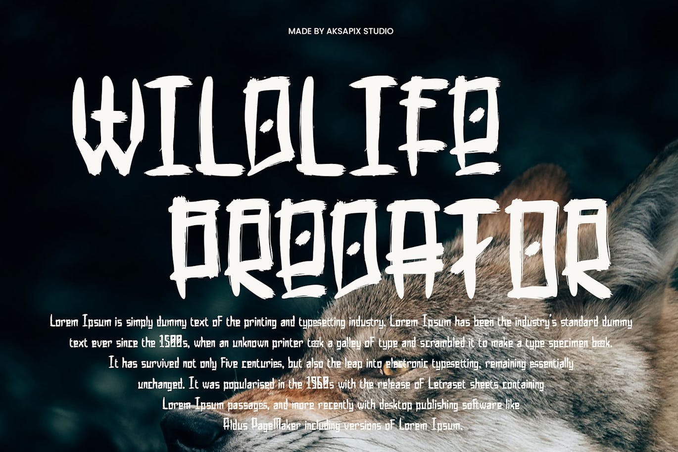 传统民族异国情调品牌海报邀请函设计装饰英文字体安装包 Wirokencono – Ethnic Brush Font 设计素材 第8张-素材湾丨精选海外优质设计素材资源 传统民族异国情调品牌海报邀请函设计装饰英文字体安装包 Wirokencono – Ethnic Brush Font 设计素材 sucaiwan.com