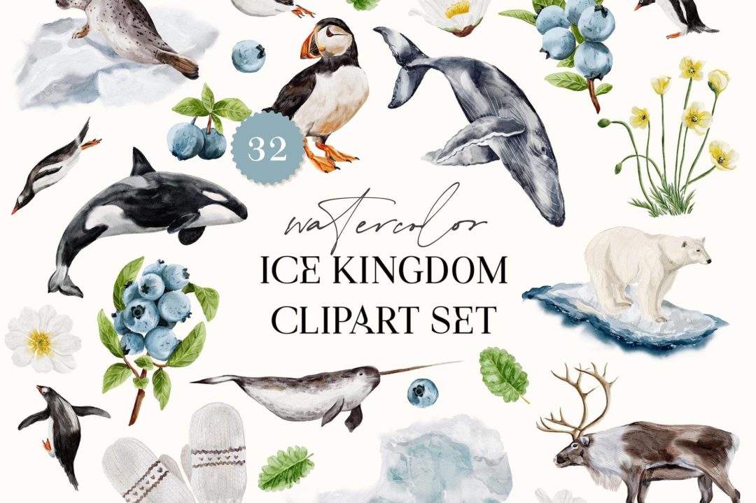 32款时尚海洋动物蓝莓花卉手绘水彩画png免抠图设计素材 Winter Watercolor Illustrations Clip Art 图片素材 sucaiwan.com