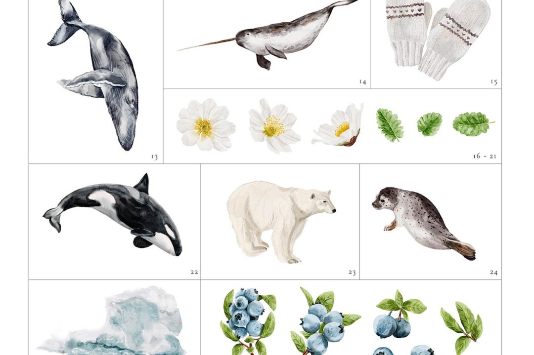 32款时尚海洋动物蓝莓花卉手绘水彩画png免抠图设计素材 Winter Watercolor Illustrations Clip Art 图片素材 sucaiwan.com