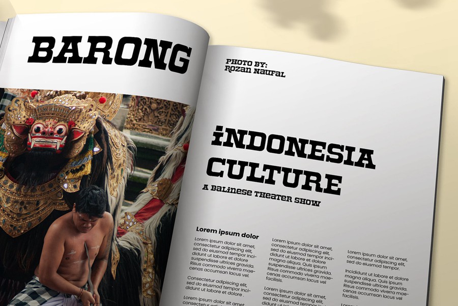 美式复古趣味杂志海报标题品牌logo设计几何风psai衬线英文字体安装包 Roger Display Western Font 设计素材 第4张-素材湾丨精选海外优质设计素材资源 美式复古趣味杂志海报标题品牌logo设计几何风psai衬线英文字体安装包 Roger Display Western Font 设计素材 sucaiwan.com