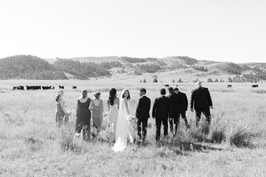 永恒奢华电影质感温暖黑白色调婚礼肖像摄影照片调色Lightroom预设 Tessa Shannon – Complete Pack 插件预设 sucaiwan.com