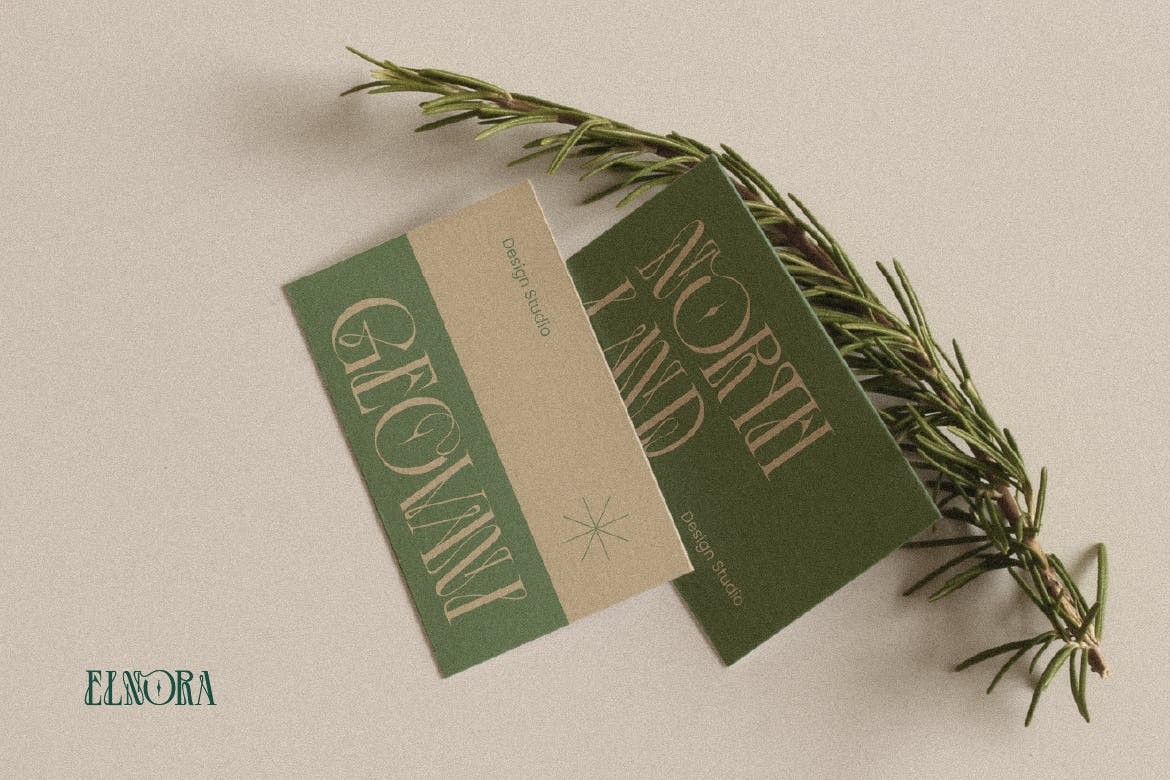 英文字体：优雅美学杂志海报徽标婚礼设计衬线英文字体安装包 Elnora , sucaiwan.com