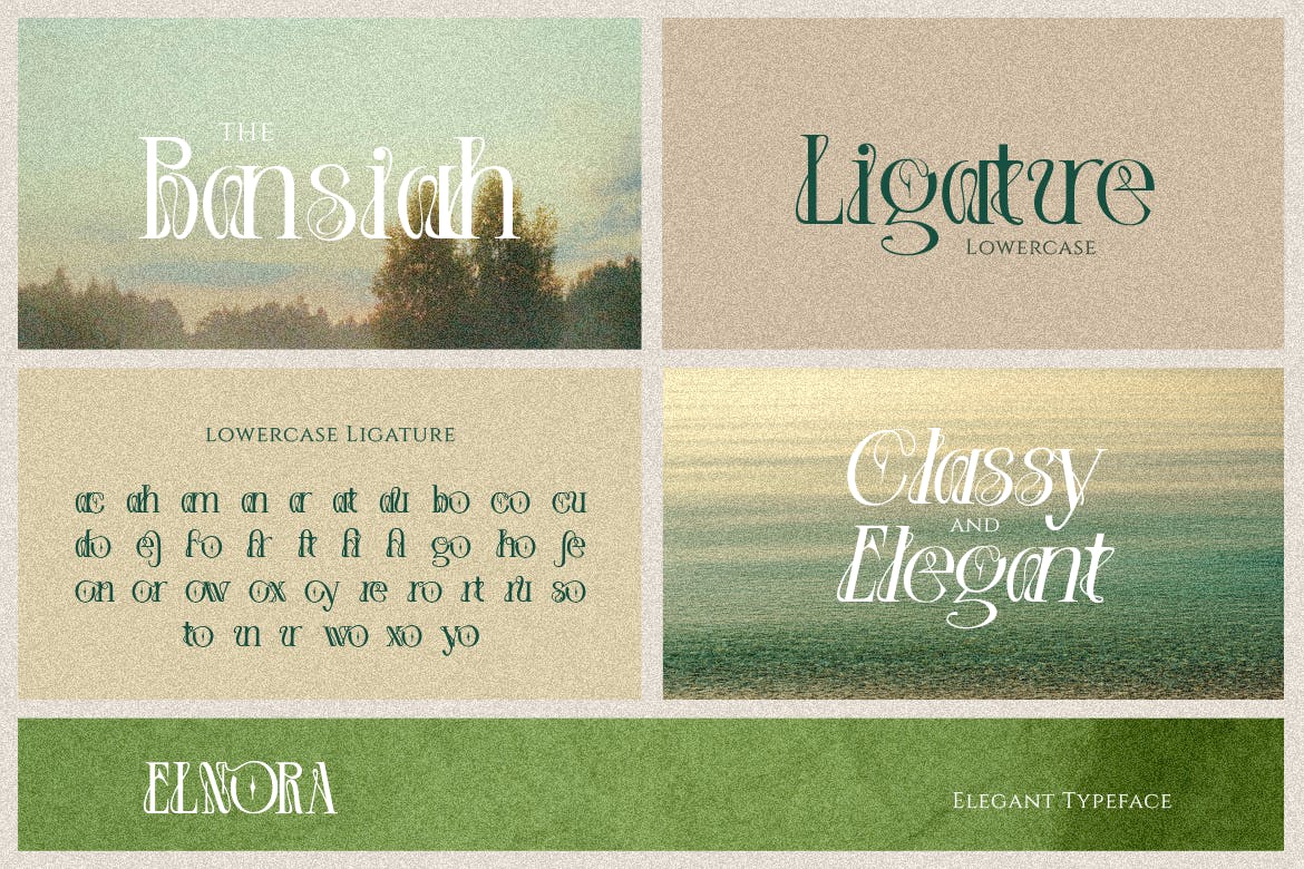 英文字体：优雅美学杂志海报徽标婚礼设计衬线英文字体安装包 Elnora , sucaiwan.com