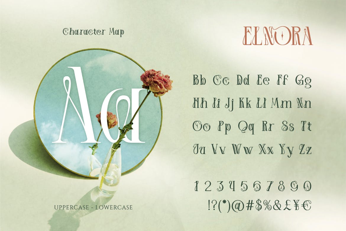 英文字体：优雅美学杂志海报徽标婚礼设计衬线英文字体安装包 Elnora , sucaiwan.com