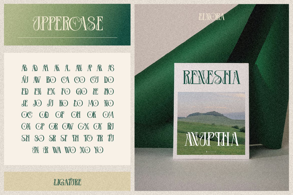 英文字体：优雅美学杂志海报徽标婚礼设计衬线英文字体安装包 Elnora , sucaiwan.com