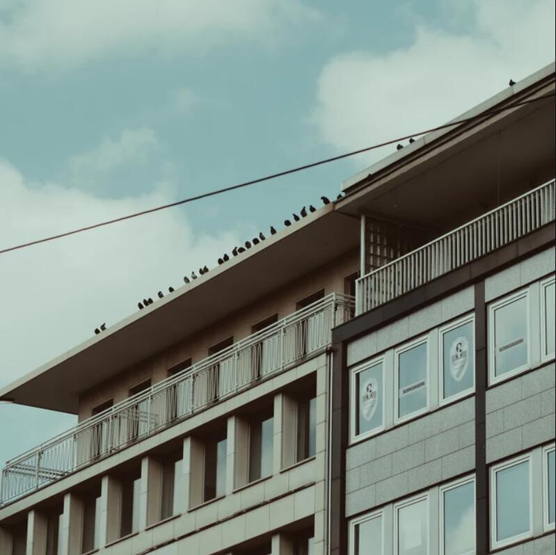 富士16MM FUJI FPE数字胶片模拟达芬奇调色节点 Analogica Lab – ANALOGICAFUJI Powergrad 插件预设 第4张-素材湾丨精选海外优质设计素材资源 富士16MM FUJI FPE数字胶片模拟达芬奇调色节点 Analogica Lab – ANALOGICAFUJI Powergrad 插件预设 sucaiwan.com