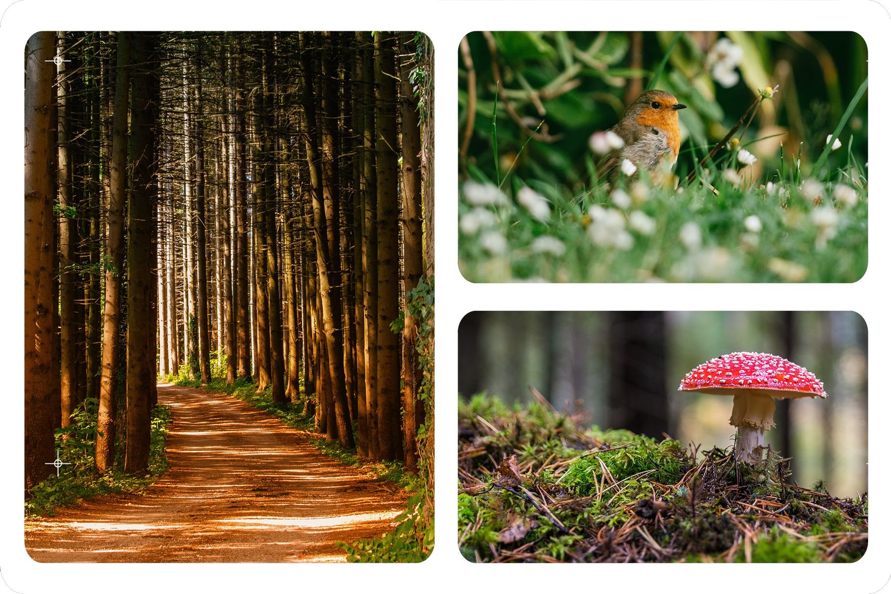 AE+PR预设:4K复古柯达胶片电影帧边框遮罩预设 Advanced Film Overlays | 4K + 1080P 插件预设 第5张-素材湾丨精选海外优质设计素材资源 AE+PR预设:4K复古柯达胶片电影帧边框遮罩预设 Advanced Film Overlays | 4K + 1080P 插件预设 sucaiwan.com