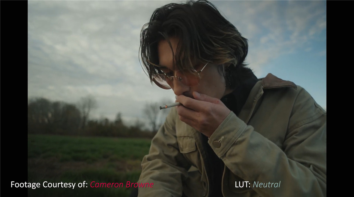 Phantom LUTs 松下S1h/5转阿莱色彩LUTs预设 Phantom LUTs for Panasonic S1h/5 插件预设 sucaiwan.com