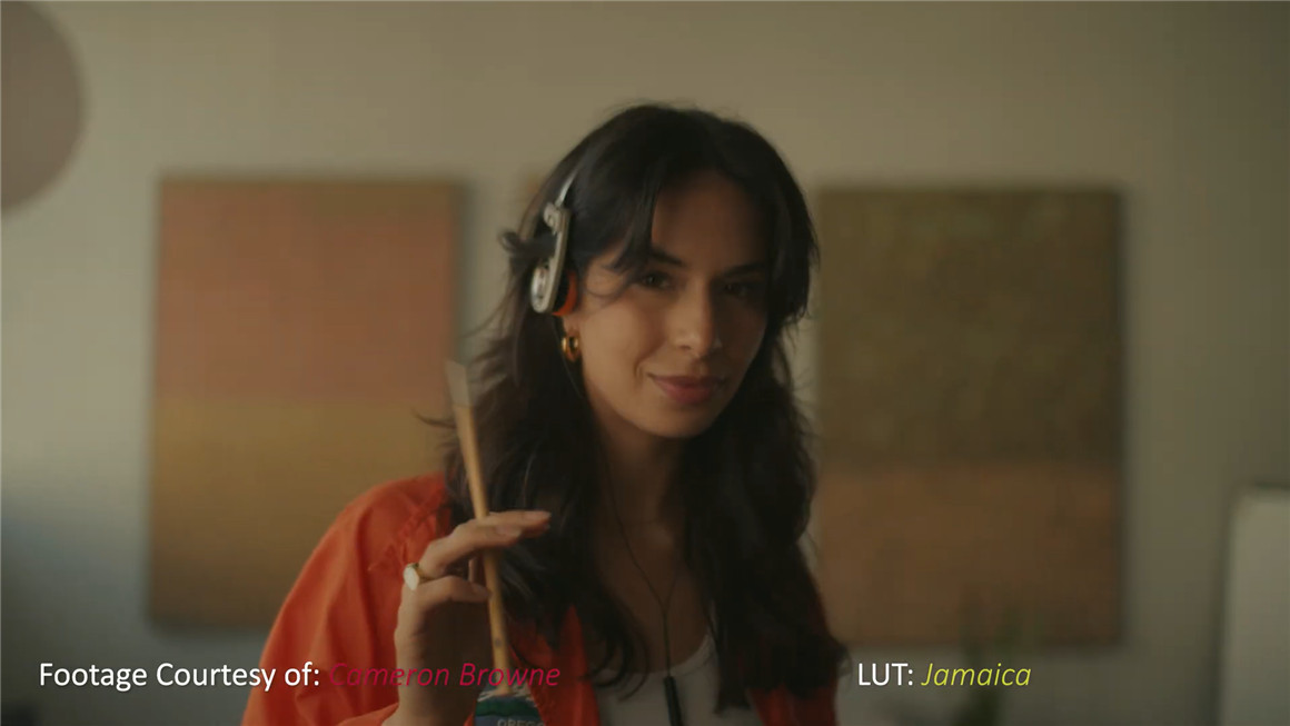 Phantom LUTs 松下S1h/5转阿莱色彩LUTs预设 Phantom LUTs for Panasonic S1h/5 插件预设 sucaiwan.com