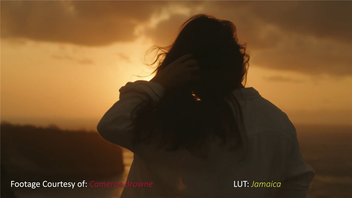 Phantom LUTs 松下S1h/5转阿莱色彩LUTs预设 Phantom LUTs for Panasonic S1h/5 插件预设 sucaiwan.com