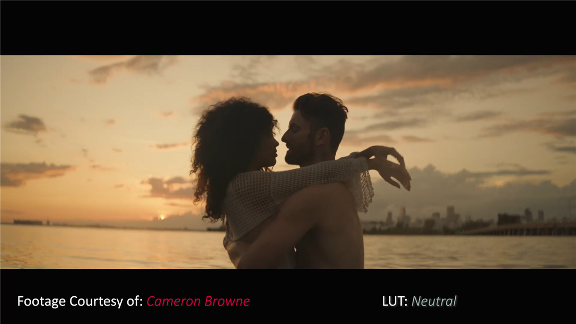 Phantom LUTs 松下S1h/5转阿莱色彩LUTs预设 Phantom LUTs for Panasonic S1h/5 插件预设 sucaiwan.com