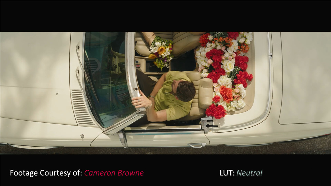 Phantom LUTs 松下S1h/5转阿莱色彩LUTs预设 Phantom LUTs for Panasonic S1h/5 插件预设 sucaiwan.com