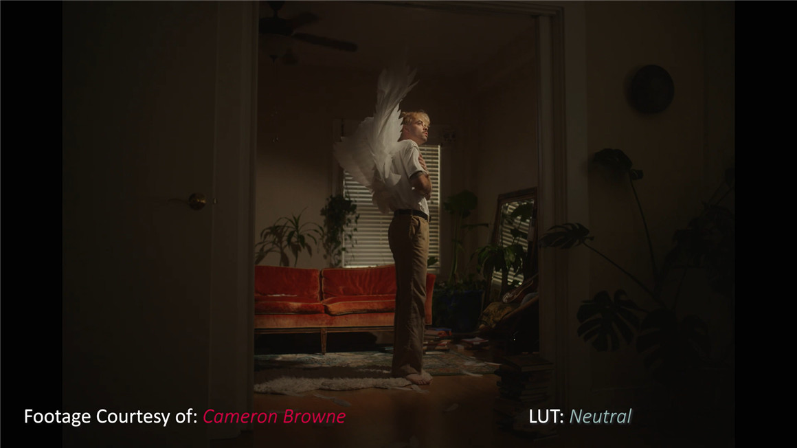 Phantom LUTs 松下S1h/5转阿莱色彩LUTs预设 Phantom LUTs for Panasonic S1h/5 插件预设 sucaiwan.com