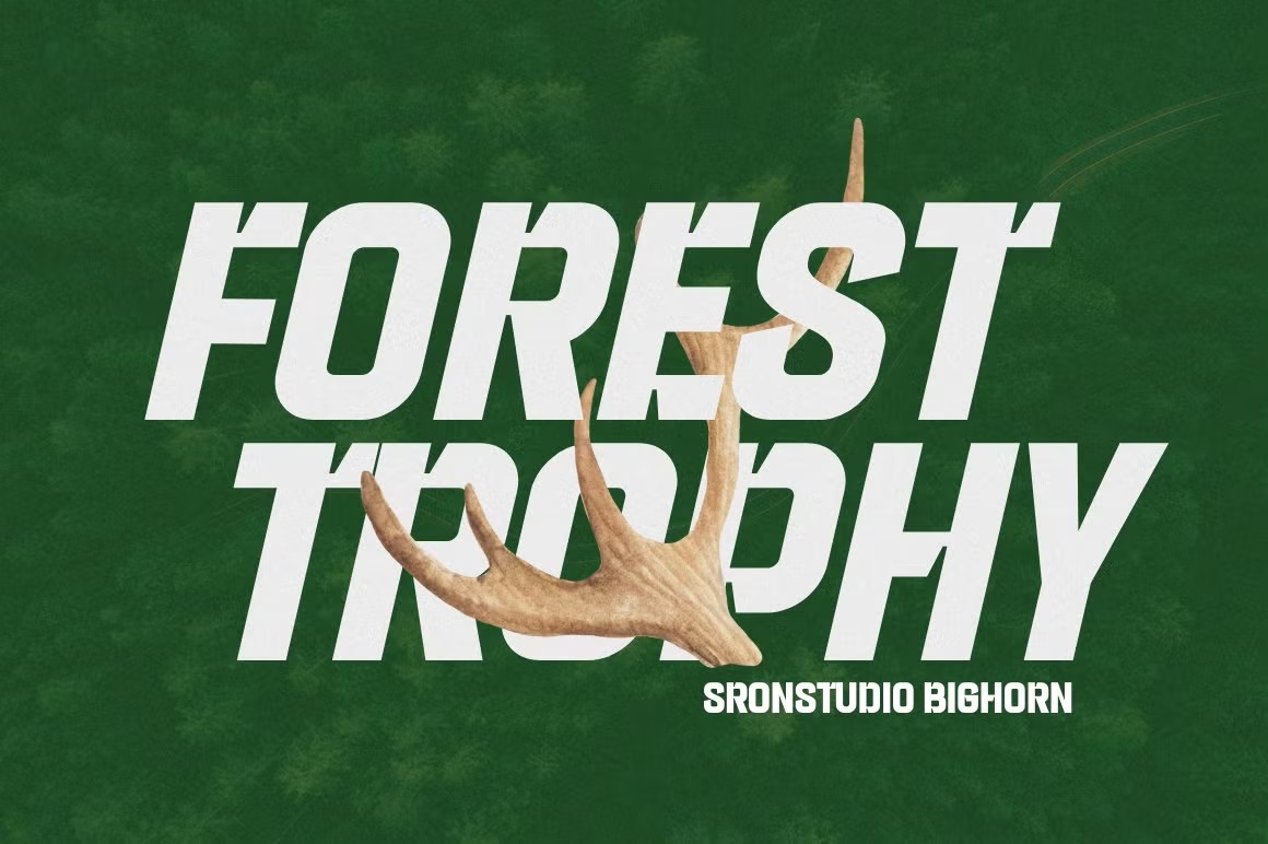 现代极简杂志海报包装徽标设计无衬线英文字体安装包 Bighorn – Bold Logo Font 设计素材 sucaiwan.com