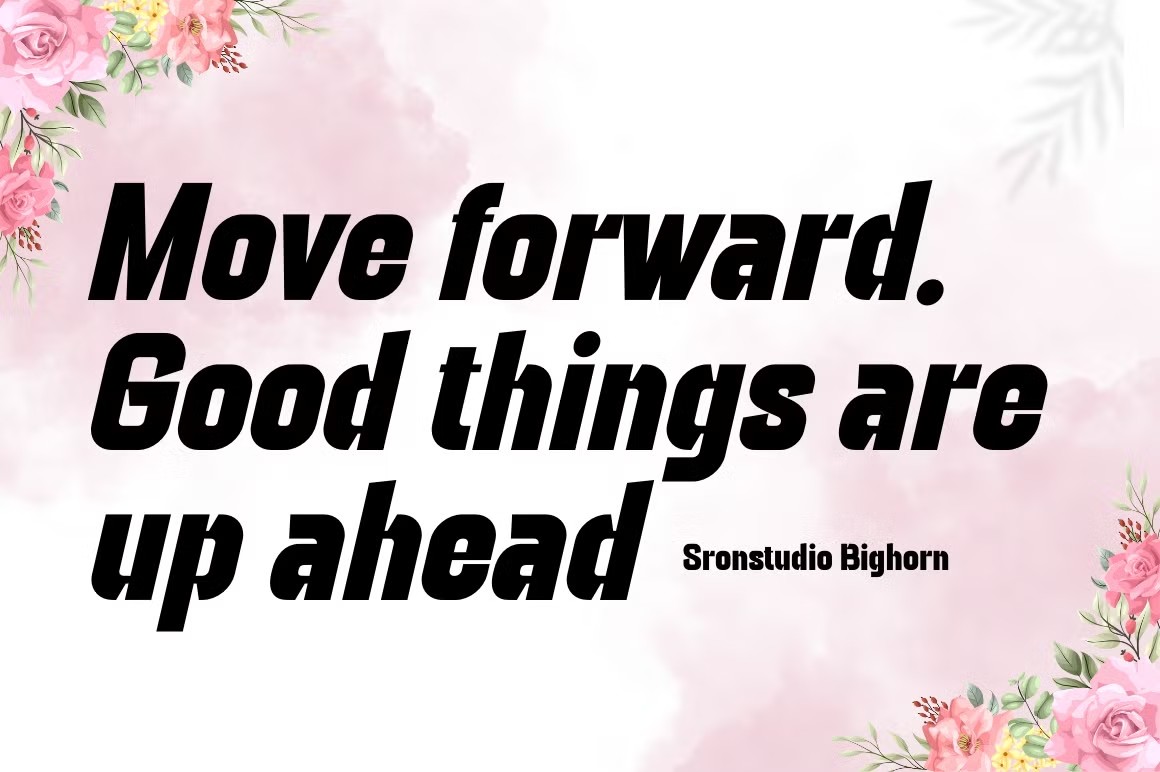 现代极简杂志海报包装徽标设计无衬线英文字体安装包 Bighorn – Bold Logo Font 设计素材 sucaiwan.com