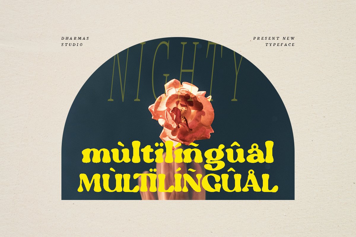 复古优雅杂志海报标题徽标Logo设计装饰英文字体素材 Nighty – Vintage Serif Typeface 设计素材 sucaiwan.com