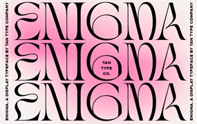 现代优雅逆反差古怪扭曲标题海报设计衬线英文字体下载 TAN Enigma – Elegant Display Serif