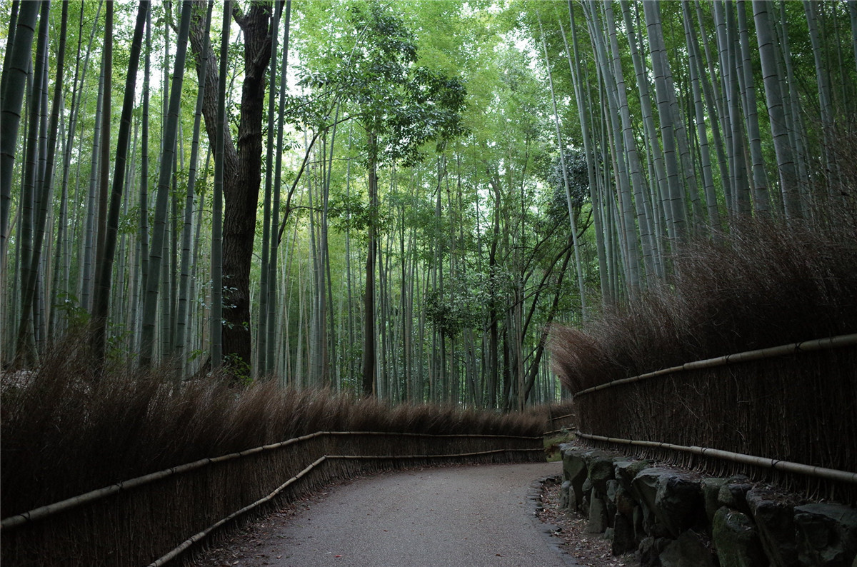 经典胶片日系风格小清新滨田英明婚礼旅拍人像摄影调色LR预设 The Visual Poets | Nostalgia , 第4张-素材湾丨精选海外优质设计素材资源 经典胶片日系风格小清新滨田英明婚礼旅拍人像摄影调色LR预设 The Visual Poets | Nostalgia , sucaiwan.com