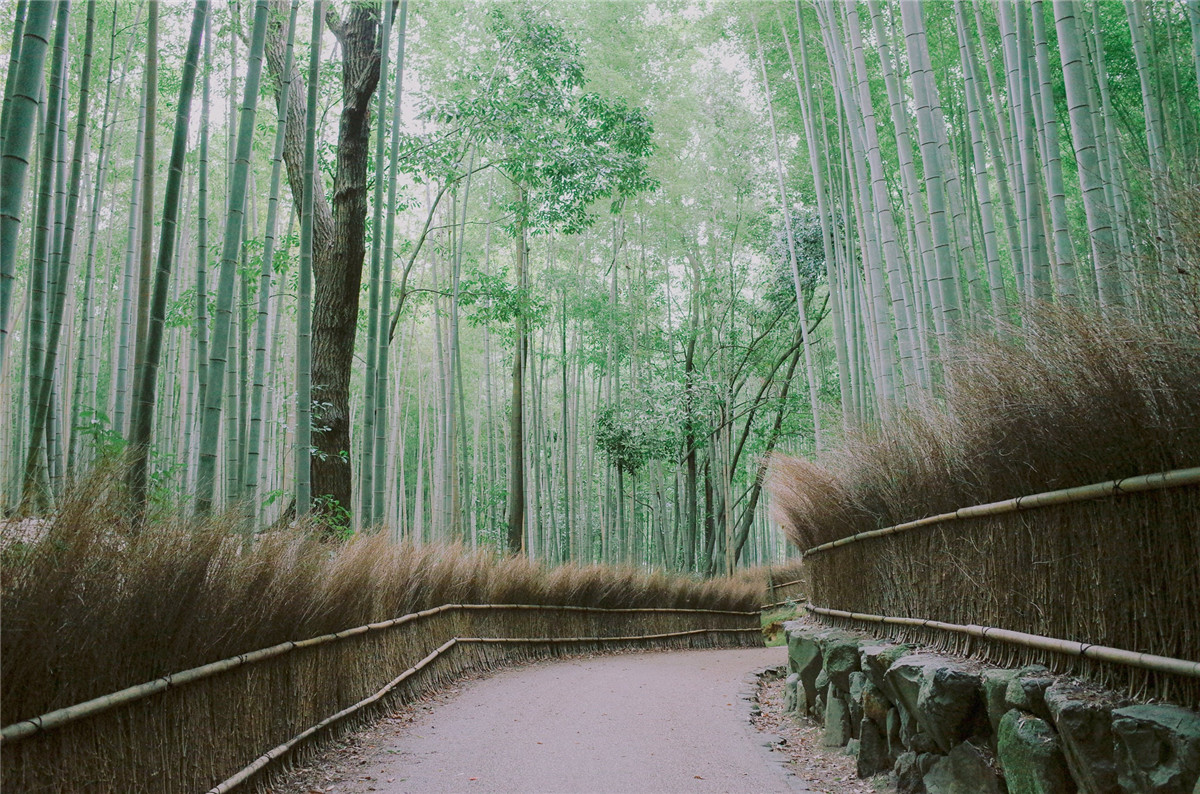 经典胶片日系风格小清新滨田英明婚礼旅拍人像摄影调色LR预设 The Visual Poets | Nostalgia , 第5张-素材湾丨精选海外优质设计素材资源 经典胶片日系风格小清新滨田英明婚礼旅拍人像摄影调色LR预设 The Visual Poets | Nostalgia , sucaiwan.com