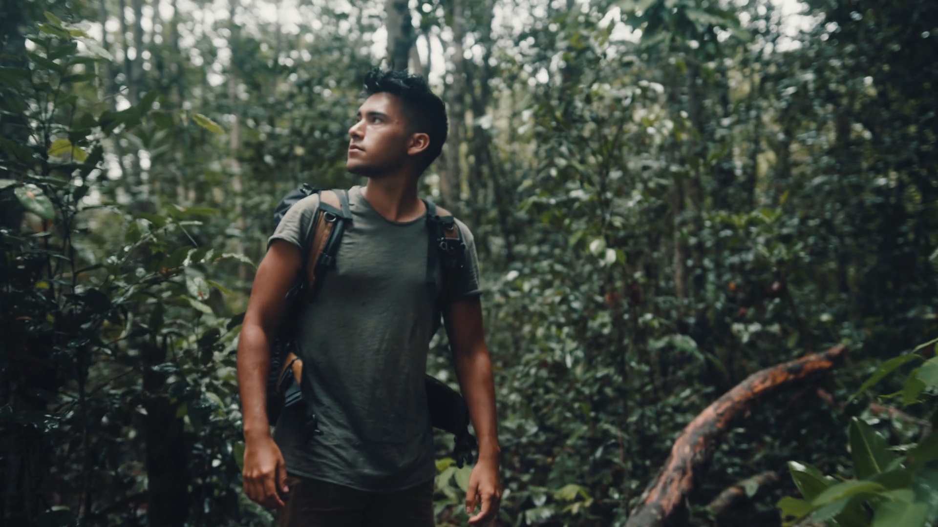 Film Space 5个独特风格化电影旅拍vlog视觉颜色分级LUT包 JustKay Blackmagic LUTs Gen 5 插件预设 第3张-素材湾丨精选海外优质设计素材资源 Film Space 5个独特风格化电影旅拍vlog视觉颜色分级LUT包 JustKay Blackmagic LUTs Gen 5 插件预设 sucaiwan.com