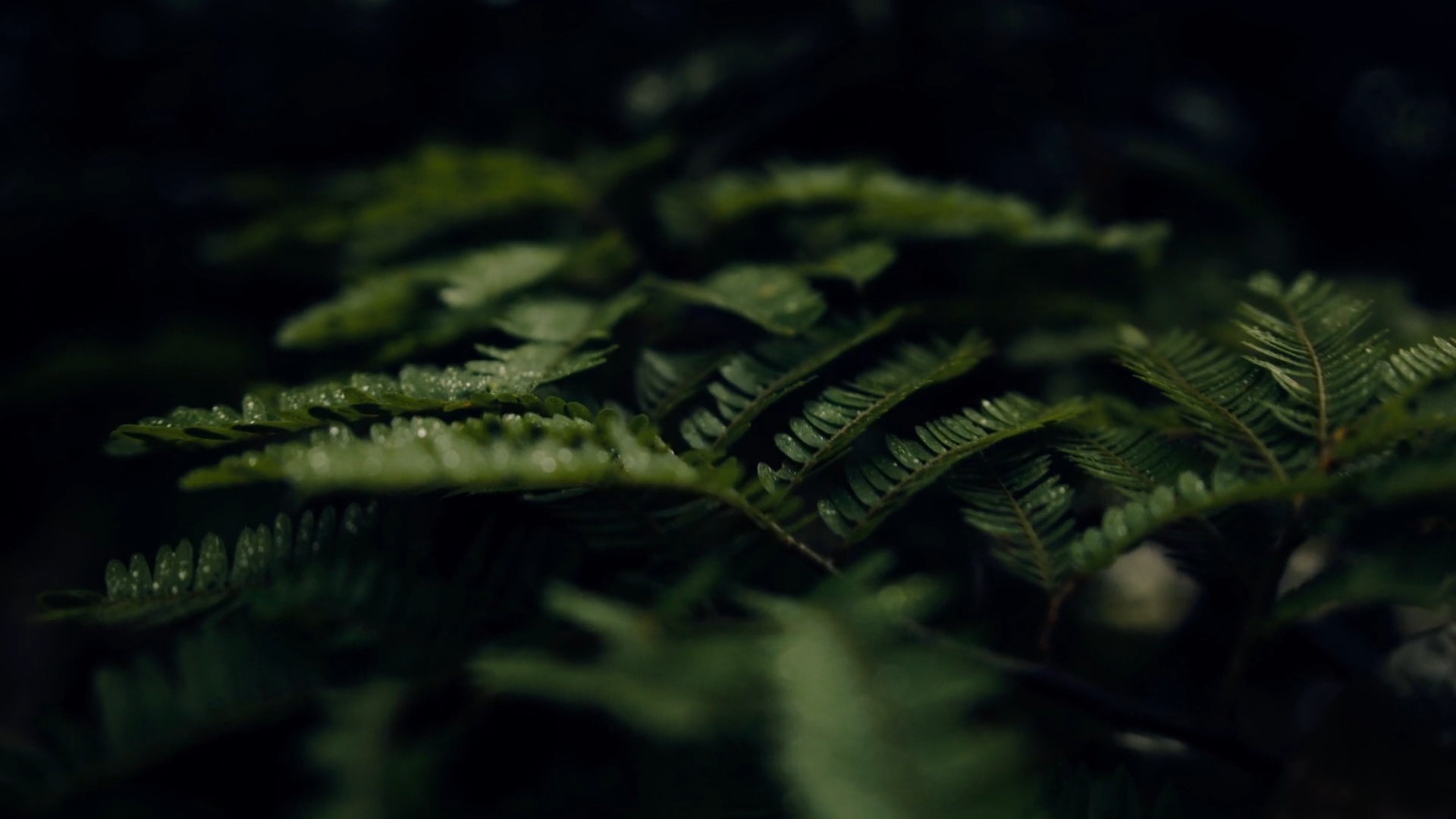 Film Space 5个独特风格化电影旅拍vlog视觉颜色分级LUT包 JustKay Blackmagic LUTs Gen 5 插件预设 第4张-素材湾丨精选海外优质设计素材资源 Film Space 5个独特风格化电影旅拍vlog视觉颜色分级LUT包 JustKay Blackmagic LUTs Gen 5 插件预设 sucaiwan.com