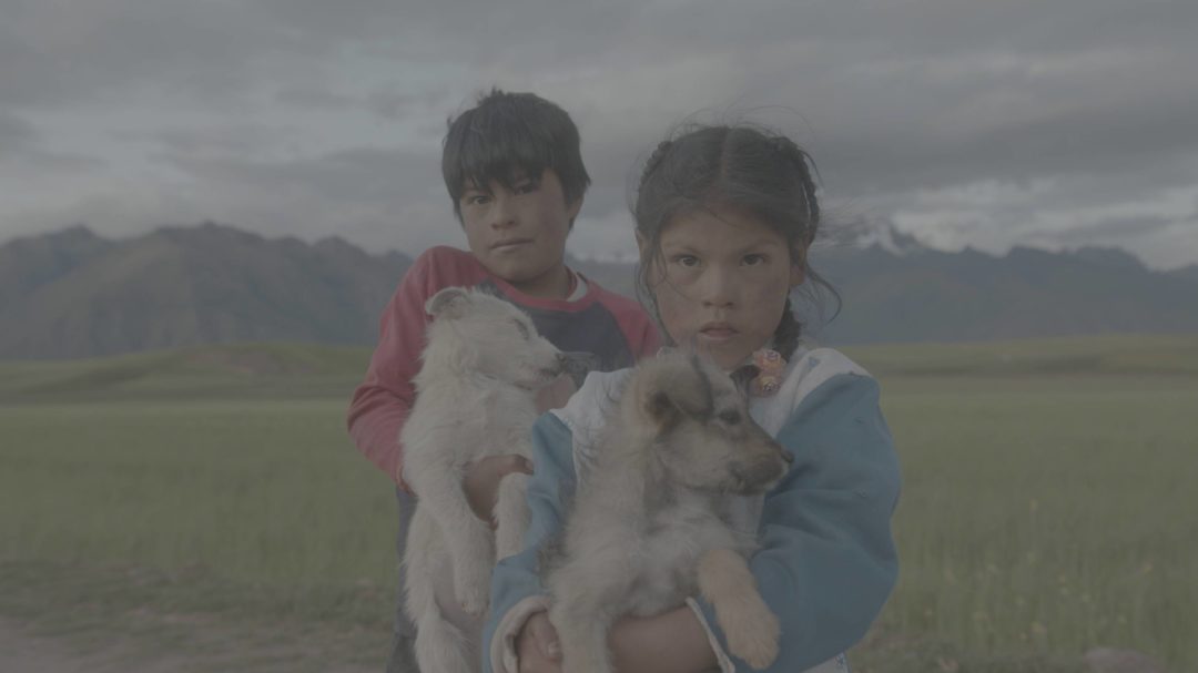 LUTs预设 独特电影般适用于Blackmagic黑魔法相机视频颜色分级调色 Film Space – Justkay Blackmagic Gen 5 LUT’s 插件预设 第6张-素材湾丨精选海外优质设计素材资源 LUTs预设 独特电影般适用于Blackmagic黑魔法相机视频颜色分级调色 Film Space – Justkay Blackmagic Gen 5 LUT’s 插件预设 sucaiwan.com