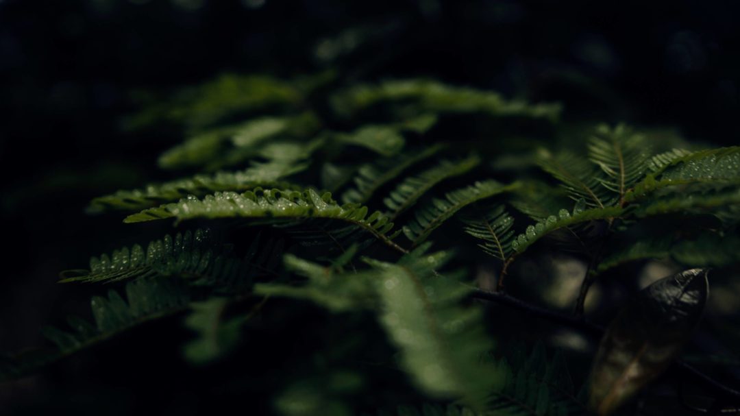 LUTs预设 独特电影般适用于Blackmagic黑魔法相机视频颜色分级调色 Film Space – Justkay Blackmagic Gen 5 LUT’s 插件预设 第15张-素材湾丨精选海外优质设计素材资源 LUTs预设 独特电影般适用于Blackmagic黑魔法相机视频颜色分级调色 Film Space – Justkay Blackmagic Gen 5 LUT’s 插件预设 sucaiwan.com