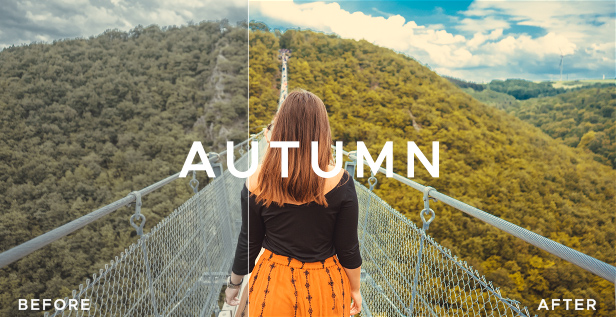 510个复古好莱坞老电影婚礼无人机电影感滤镜LUT调色预设 LUT Color Presets for DaVinci Resolve , 第6张-素材湾丨精选海外优质设计素材资源 510个复古好莱坞老电影婚礼无人机电影感滤镜LUT调色预设 LUT Color Presets for DaVinci Resolve , sucaiwan.com