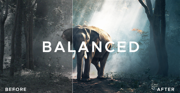 510个复古好莱坞老电影婚礼无人机电影感滤镜LUT调色预设 LUT Color Presets for DaVinci Resolve , 第7张-素材湾丨精选海外优质设计素材资源 510个复古好莱坞老电影婚礼无人机电影感滤镜LUT调色预设 LUT Color Presets for DaVinci Resolve , sucaiwan.com