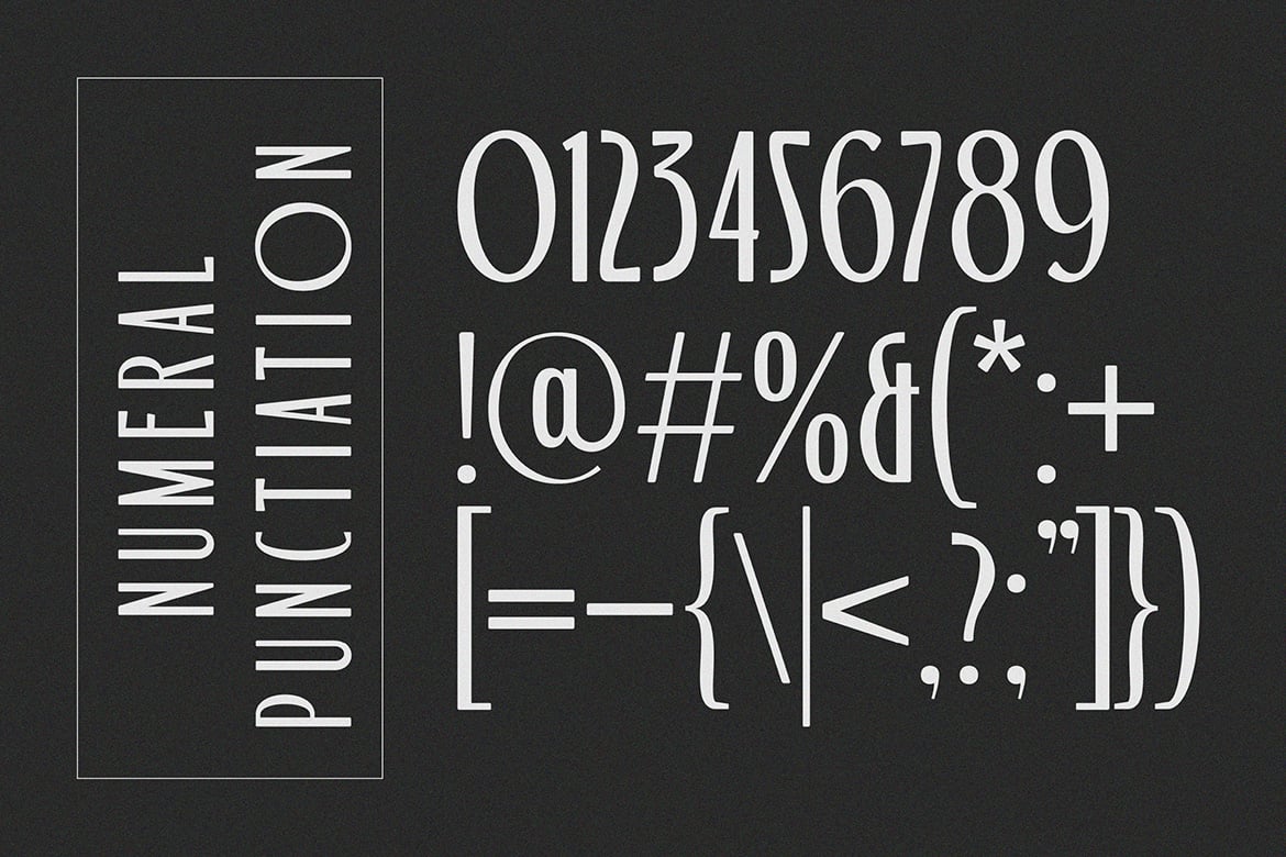 现代品牌海报徽标设计无衬线英文字体安装包 Bourned – Unique Display Sans 设计素材 sucaiwan.com