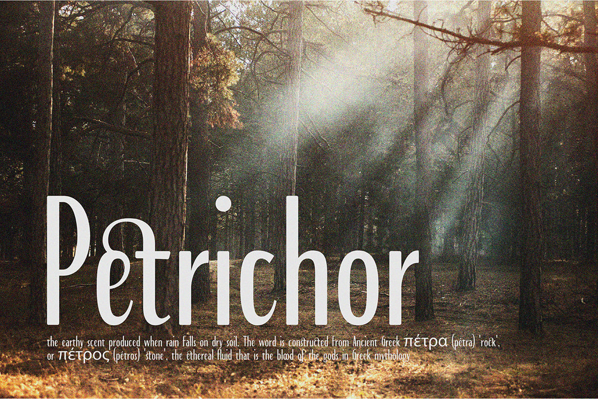 现代品牌海报徽标设计无衬线英文字体安装包 Bourned – Unique Display Sans 设计素材 sucaiwan.com